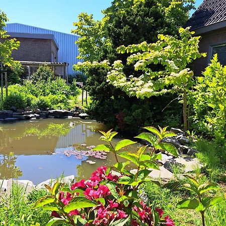 Luxe Ruime Studio Op Unieke, Rustige Locatie دوكوم المظهر الخارجي الصورة